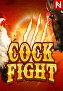 Cock Fight